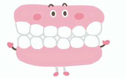 入れ歯の種類と特徴って？