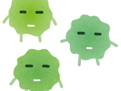 歯周病菌はどんな菌？