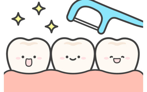 予防歯科とは？～自分の歯を長く守るために～
